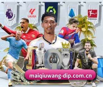 买球网 APP - maiqiuwang